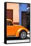 ¡Viva Mexico! Collection - The Orange Beetle-Philippe Hugonnard-Framed Stretched Canvas