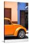 ¡Viva Mexico! Collection - The Orange Beetle-Philippe Hugonnard-Stretched Canvas