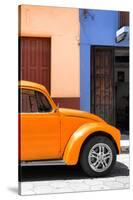 ¡Viva Mexico! Collection - The Orange Beetle-Philippe Hugonnard-Stretched Canvas