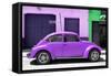 ¡Viva Mexico! Collection - The Purple Beetle Car-Philippe Hugonnard-Framed Stretched Canvas