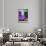 ¡Viva Mexico! Collection - The Purple Beetle-Philippe Hugonnard-Framed Stretched Canvas displayed on a wall