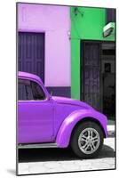 ¡Viva Mexico! Collection - The Purple Beetle-Philippe Hugonnard-Mounted Photographic Print