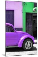 ¡Viva Mexico! Collection - The Purple Beetle-Philippe Hugonnard-Mounted Premium Photographic Print