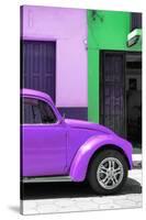 ¡Viva Mexico! Collection - The Purple Beetle-Philippe Hugonnard-Stretched Canvas