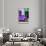 ¡Viva Mexico! Collection - The Purple Beetle-Philippe Hugonnard-Stretched Canvas displayed on a wall