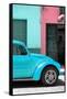 ¡Viva Mexico! Collection - The Turquoise Beetle-Philippe Hugonnard-Framed Stretched Canvas