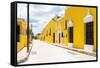 ¡Viva Mexico! Collection - The Yellow City - Izamal-Philippe Hugonnard-Framed Stretched Canvas