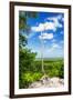 ¡Viva Mexico! Collection - Tree in the Mexican Jungle - Calakmul-Philippe Hugonnard-Framed Premium Photographic Print