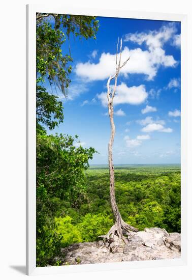 ¡Viva Mexico! Collection - Tree in the Mexican Jungle - Calakmul-Philippe Hugonnard-Framed Photographic Print