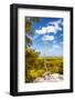 ¡Viva Mexico! Collection - Tree in the Mexican Jungle II - Calakmul-Philippe Hugonnard-Framed Photographic Print