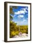 ¡Viva Mexico! Collection - Tree in the Mexican Jungle II - Calakmul-Philippe Hugonnard-Framed Photographic Print