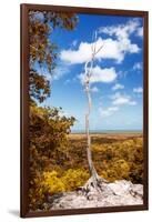 ¡Viva Mexico! Collection - Tree in the Mexican Jungle with Fall Colors - Calakmul-Philippe Hugonnard-Framed Photographic Print