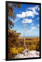 ¡Viva Mexico! Collection - Tree in the Mexican Jungle with Fall Colors - Calakmul-Philippe Hugonnard-Framed Photographic Print