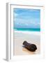 ¡Viva Mexico! Collection - Tree Trunk on a Caribbean Beach II-Philippe Hugonnard-Framed Photographic Print