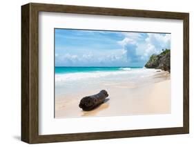 ?Viva Mexico! Collection - Tree Trunk on a Caribbean Beach-Philippe Hugonnard-Framed Photographic Print