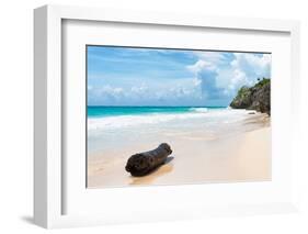 ?Viva Mexico! Collection - Tree Trunk on a Caribbean Beach-Philippe Hugonnard-Framed Photographic Print