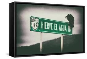 ¡Viva Mexico! Collection - Vulture II-Philippe Hugonnard-Framed Stretched Canvas