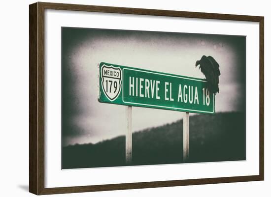 ¡Viva Mexico! Collection - Vulture II-Philippe Hugonnard-Framed Photographic Print