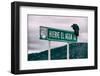 ¡Viva Mexico! Collection - Vulture-Philippe Hugonnard-Framed Photographic Print