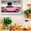 ¡Viva Mexico! Collection - VW Beetle Car and Light Pink Graffiti-Philippe Hugonnard-Framed Photographic Print displayed on a wall