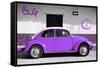 ¡Viva Mexico! Collection - VW Beetle Car and Purple Graffiti-Philippe Hugonnard-Framed Stretched Canvas