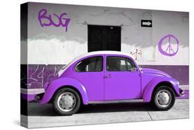 ¡Viva Mexico! Collection - VW Beetle Car and Purple Graffiti-Philippe Hugonnard-Stretched Canvas
