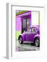 ¡Viva Mexico! Collection - VW Beetle Car and Purple Wall-Philippe Hugonnard-Framed Photographic Print