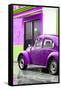 ¡Viva Mexico! Collection - VW Beetle Car and Purple Wall-Philippe Hugonnard-Framed Stretched Canvas