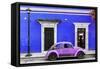 ¡Viva Mexico! Collection - VW Beetle Car - Royal Blue & Purple-Philippe Hugonnard-Framed Stretched Canvas