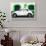 ¡Viva Mexico! Collection - White VW Beetle Car and Green Graffiti-Philippe Hugonnard-Framed Photographic Print displayed on a wall