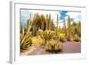 ¡Viva Mexico! Collection - Yellow Cardon Cactus II-Philippe Hugonnard-Framed Photographic Print