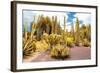 ¡Viva Mexico! Collection - Yellow Cardon Cactus II-Philippe Hugonnard-Framed Photographic Print