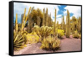 ¡Viva Mexico! Collection - Yellow Cardon Cactus II-Philippe Hugonnard-Framed Stretched Canvas