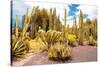 ¡Viva Mexico! Collection - Yellow Cardon Cactus II-Philippe Hugonnard-Stretched Canvas