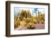 ¡Viva Mexico! Collection - Yellow Cardon Cactus II-Philippe Hugonnard-Framed Photographic Print