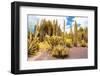 ¡Viva Mexico! Collection - Yellow Cardon Cactus II-Philippe Hugonnard-Framed Photographic Print