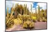 ¡Viva Mexico! Collection - Yellow Cardon Cactus II-Philippe Hugonnard-Mounted Photographic Print