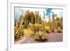 ¡Viva Mexico! Collection - Yellow Cardon Cactus II-Philippe Hugonnard-Framed Photographic Print