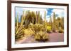 ¡Viva Mexico! Collection - Yellow Cardon Cactus II-Philippe Hugonnard-Framed Photographic Print