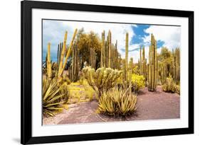 ¡Viva Mexico! Collection - Yellow Cardon Cactus II-Philippe Hugonnard-Framed Photographic Print