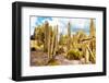 ¡Viva Mexico! Collection - Yellow Cardon Cactus III-Philippe Hugonnard-Framed Photographic Print