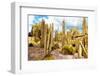 ¡Viva Mexico! Collection - Yellow Cardon Cactus III-Philippe Hugonnard-Framed Photographic Print