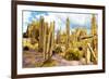 ¡Viva Mexico! Collection - Yellow Cardon Cactus III-Philippe Hugonnard-Framed Photographic Print