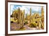 ¡Viva Mexico! Collection - Yellow Cardon Cactus III-Philippe Hugonnard-Framed Photographic Print