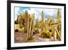 ¡Viva Mexico! Collection - Yellow Cardon Cactus III-Philippe Hugonnard-Framed Photographic Print