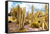 ¡Viva Mexico! Collection - Yellow Cardon Cactus III-Philippe Hugonnard-Framed Stretched Canvas
