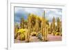 ¡Viva Mexico! Collection - Yellow Cardon Cactus-Philippe Hugonnard-Framed Photographic Print