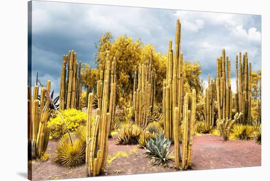 ¡Viva Mexico! Collection - Yellow Cardon Cactus-Philippe Hugonnard-Stretched Canvas
