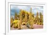 ¡Viva Mexico! Collection - Yellow Cardon Cactus-Philippe Hugonnard-Framed Photographic Print