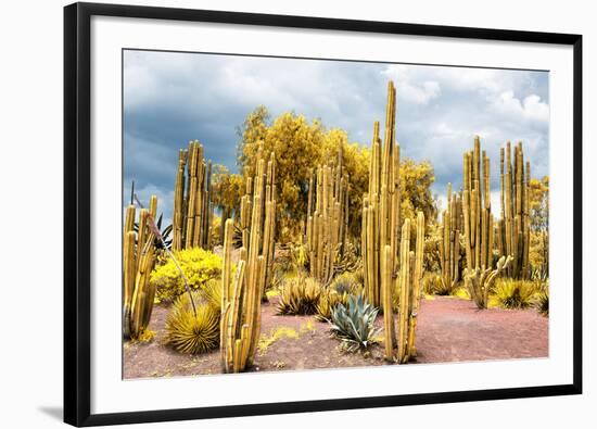 ¡Viva Mexico! Collection - Yellow Cardon Cactus-Philippe Hugonnard-Framed Photographic Print